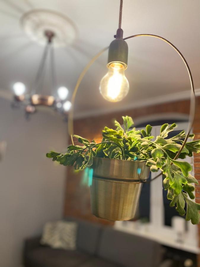 Apartament Odrzanka 格雷菲诺 外观 照片