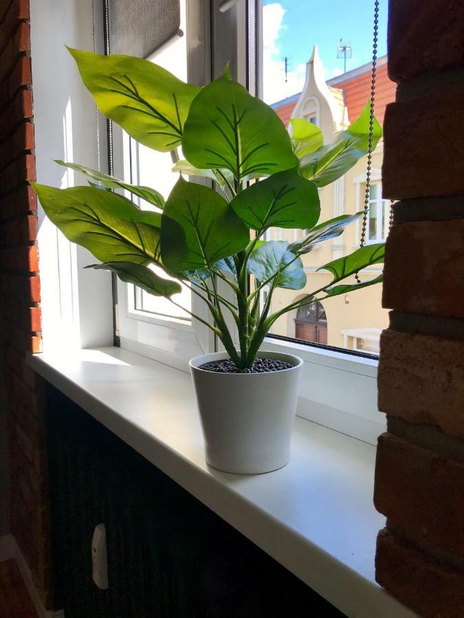 Apartament Odrzanka 格雷菲诺 外观 照片